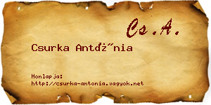 Csurka Antónia névjegykártya
